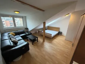 Pronájem bytu 1+1, Brno, Jircháře, 49 m2