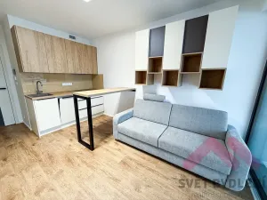 Pronájem bytu 1+kk, Praha - Žižkov, Šrámkové, 34 m2