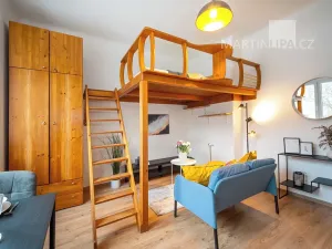 Prodej bytu 1+kk, Praha - Nusle, U družstva Ideál, 25 m2