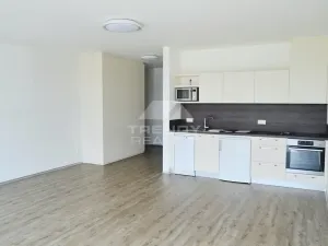 Pronájem bytu 1+kk, Plzeň, Na Roudné, 50 m2