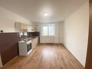 Prodej bytu 1+1, Bor, 32 m2