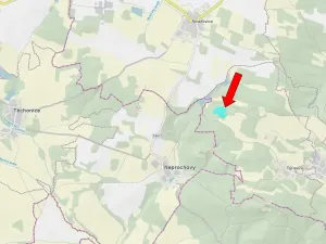 Prodej lesa, Pačejov, 15990 m2