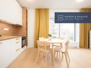 Pronájem bytu 1+kk, Pohořelice, 30 m2