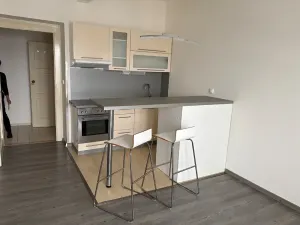 Pronájem bytu 1+kk, Praha - Žižkov, Hartigova, 24 m2