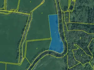 Prodej louky, Přeštice, 8946 m2