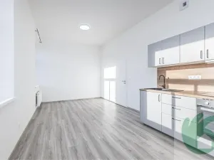 Prodej bytu 1+kk, Kralupy nad Vltavou, S. K. Neumanna, 38 m2