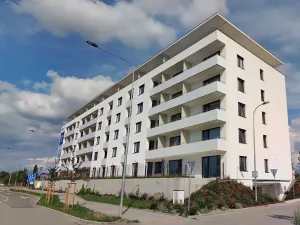 Pronájem bytu 1+kk, Brno, Jižní, 37 m2