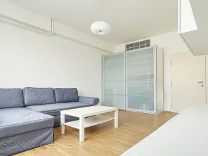 Pronájem bytu 1+1, Praha - Nové Město, Opletalova, 34 m2