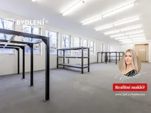 Pronájem kanceláře, Teplice, Tolstého, 218 m2