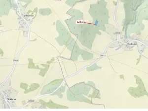 Dražba lesa, Stebno, 1462 m2