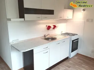 Pronájem bytu 2+1, Ostrava, Heyrovského, 54 m2