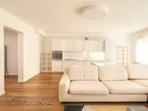 Pronájem bytu 3+kk, Praha - Vinohrady, Mánesova, 106 m2