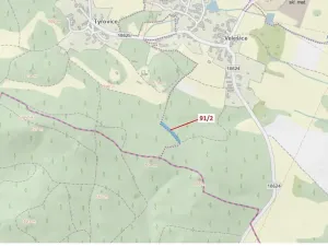 Dražba lesa, Pačejov, 1363 m2