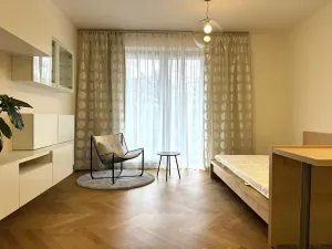 Pronájem bytu 1+kk, Praha - Žižkov, Kališnická, 40 m2