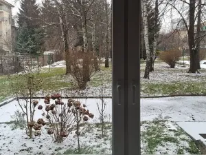 Prodej bytu 1+1, Brno, Palackého třída, 32 m2