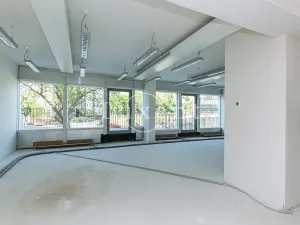 Pronájem obchodního prostoru, Praha - Nusle, Lomnického, 44 m2