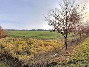 Prodej pole, Cheb, Nižnětagilská, 17000 m2