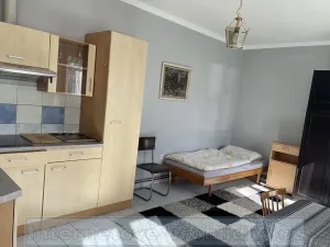 Pronájem pokoje, Praha - Vinohrady, Blanická, 23 m2