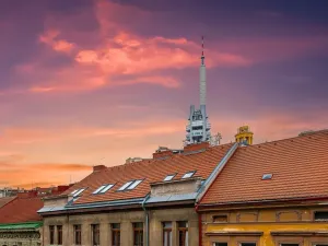 Prodej bytu 2+1, Praha - Žižkov, Bořivojova, 77 m2