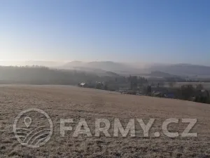 Prodej louky, Meziměstí, 696000 m2