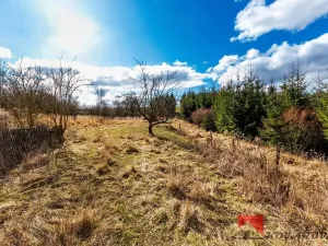 Prodej pozemku pro bydlení, Řepín, 707 m2