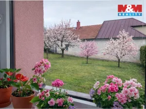 Prodej rodinného domu, Kořenice, 76 m2