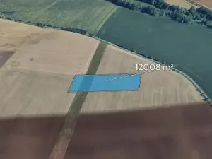 Prodej pole, Dubany, 12008 m2