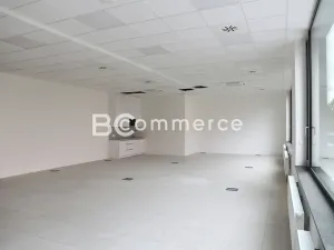 Pronájem kanceláře, Brno, 160 m2