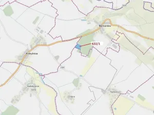 Dražba lesa, Bernardov, 12017 m2