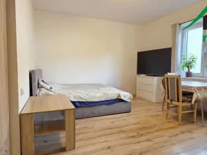 Pronájem bytu 1+kk, Tachov, Boženy Němcové, 27 m2