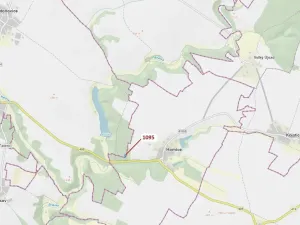 Dražba lesa, Mladoňovice, 1427 m2