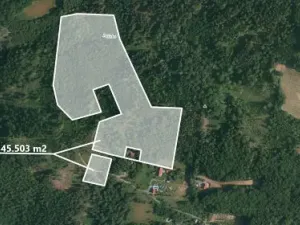 Prodej lesa, Prostřední Bečva, 45503 m2