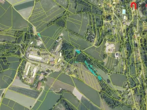 Prodej lesa, Zlatá Olešnice, 1248 m2