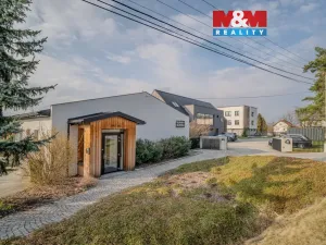 Pronájem obchodního prostoru, Ostrava - Proskovice, Staroveská, 246 m2