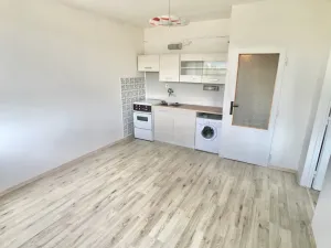 Pronájem bytu 1+1, Teplice, Bratislavská, 41 m2