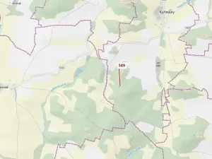 Dražba lesa, Kuřimany, 713 m2