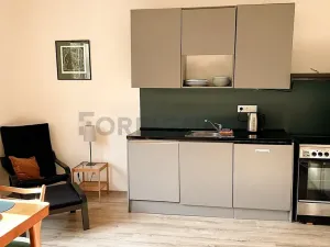 Pronájem bytu 1+kk, Praha, Na hroudě, 36 m2
