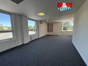 Pronájem kanceláře, Ostrava - Přívoz, Trocnovská, 240 m2