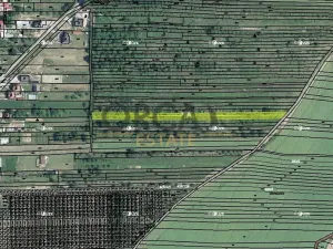 Prodej podílu pole, Moravany, 728 m2
