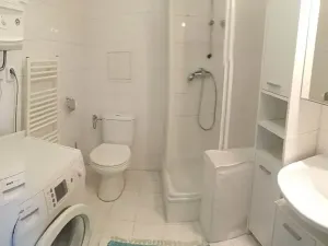 Pronájem bytu 1+kk, Brno, Skopalíkova, 25 m2