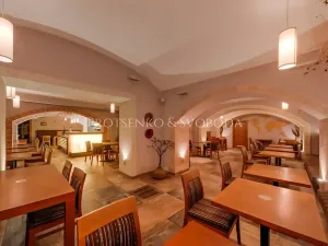 Prodej restaurace, Praha - Nové Město, Legerova, 655 m2