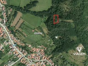 Prodej podílu lesa, Jabloňany, 1653 m2