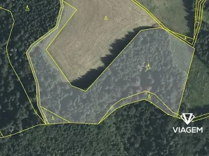 Prodej podílu lesa, Cotkytle, 2355 m2