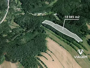 Prodej podílu lesa, Kuřimská Nová Ves, 6242 m2