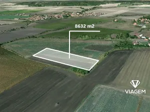 Prodej pole, Kostelní Hlavno, 8632 m2