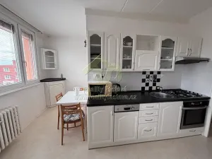 Pronájem bytu 2+1, Plzeň, Terezie Brzkové, 64 m2