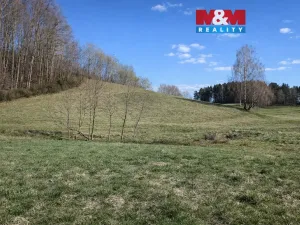 Prodej louky, Janův Důl, 2749 m2