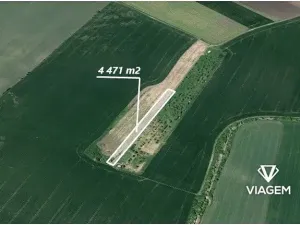 Prodej podílu pole, Sokolnice, 2980 m2