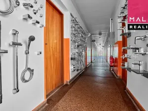 Pronájem obchodního prostoru, Ostrov, Hlavní třída, 50 m2