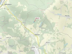 Dražba lesa, Zubrnice, 8765 m2